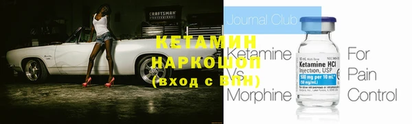 шишки Аркадак