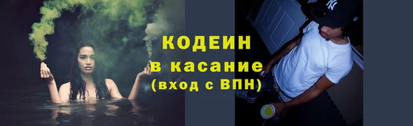 шишки Аркадак