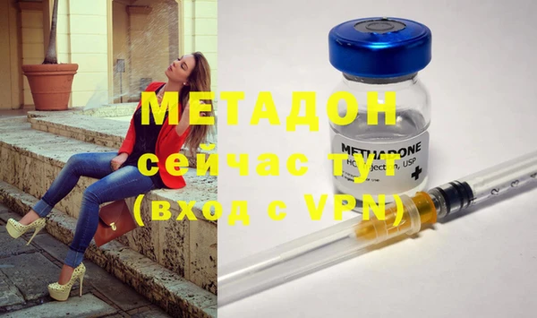шишки Аркадак