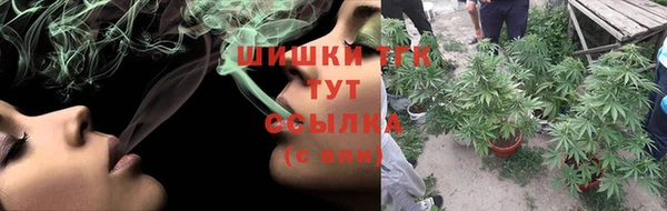 шишки Аркадак