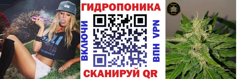 Купить закладки  Стародуб  Шишки марихуана гибрид 